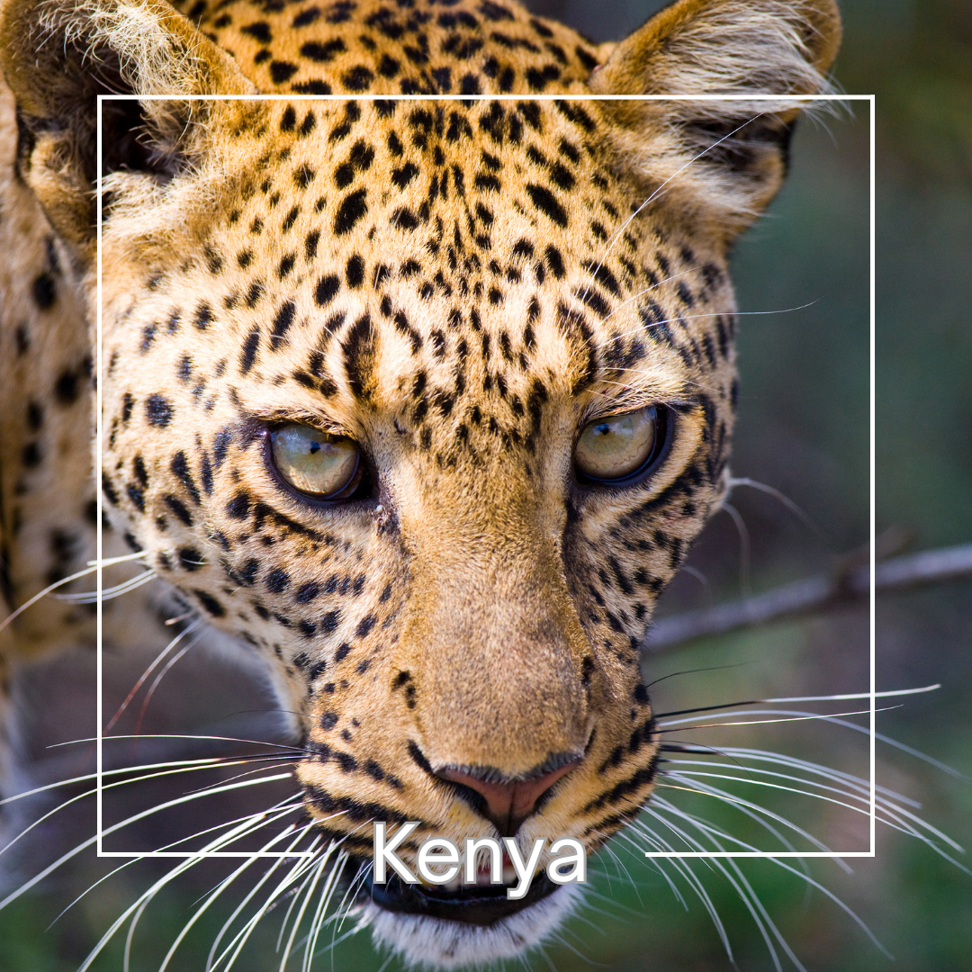 Kenya